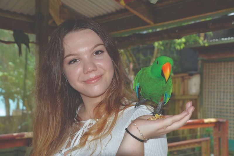 Kuranda Bird World Ticket in Cairns - Booking, opening days and ticket use