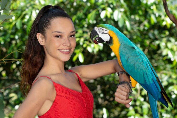 Kuranda: Birdworld Entry Ticket - Ticket Details