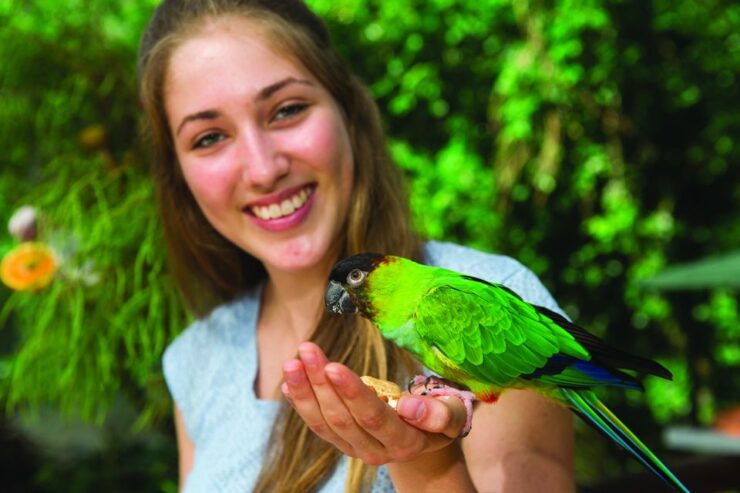 Kuranda: Birdworld Entry Ticket - Experience