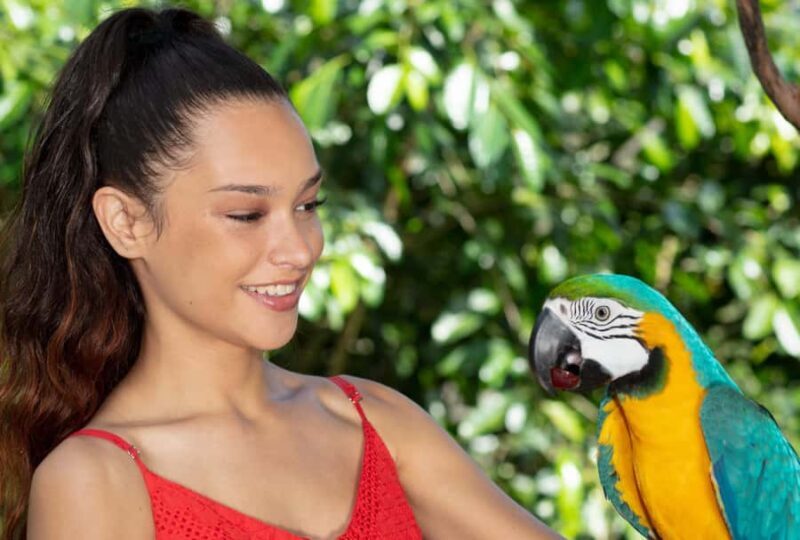 Kuranda by Design, a VIP package experience - Introduction: A Personal Touch to Wildlife Tours