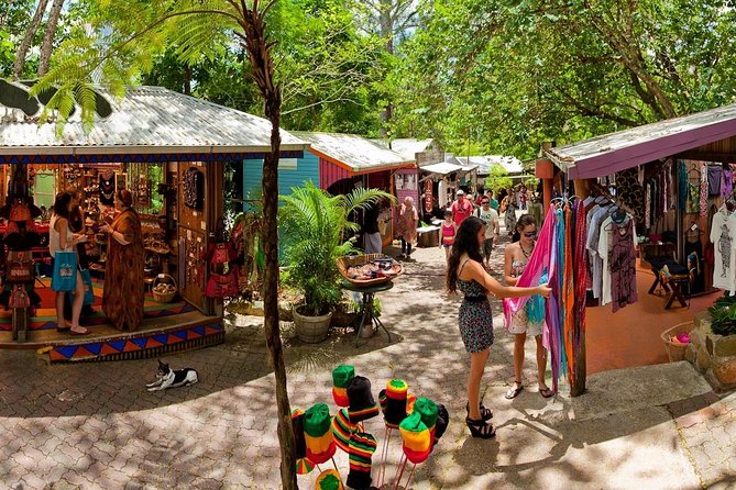 Kuranda Day Trip From Port Douglas Upgrade to Skyrail & Scenic Train Available - Visit Palm Coves Esplanade and Beach