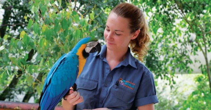 Kuranda: Friends in the Rainforest Koala Gardens & Birdworld - Ticket Information