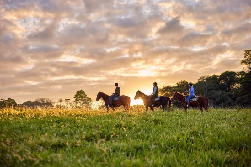 Kuranda Half Day with Petting Zoo & Horse Trail Ride Tour - Good To Know