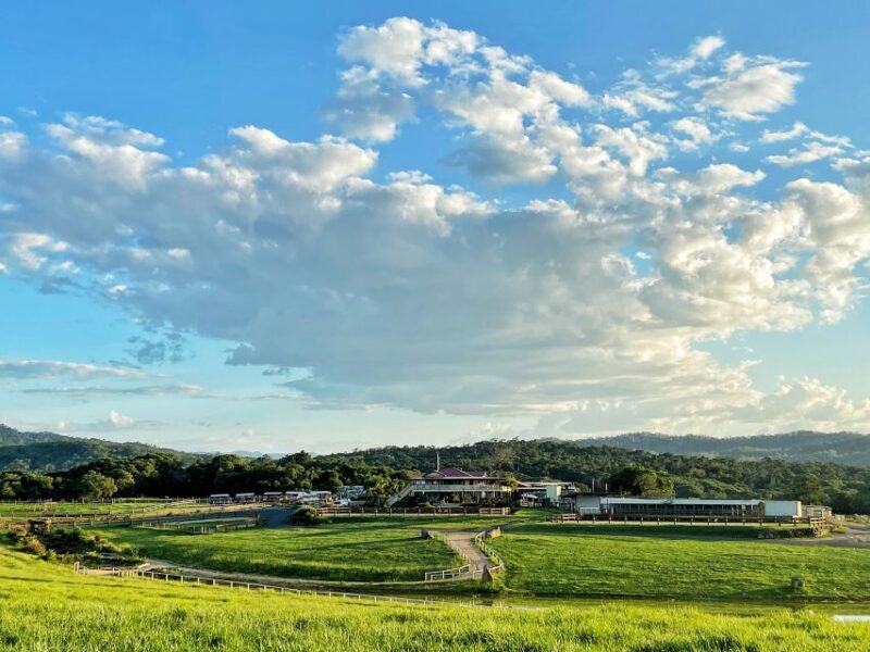 Kuranda Half Day with Petting Zoo & Horse Trail Ride Tour - The Sum Up