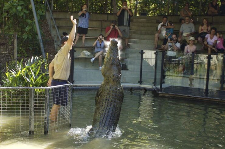 Kuranda & Hartley's Crocodile Adventures - Ticket Details