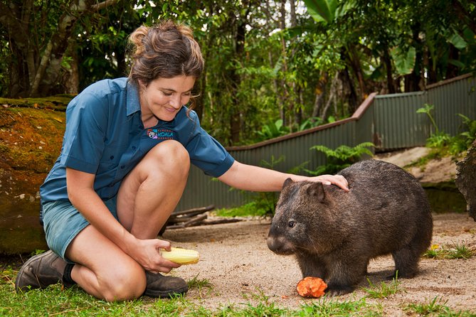 Kuranda Koala Gardens General Entry Ticket - Wildlife Conservation Efforts