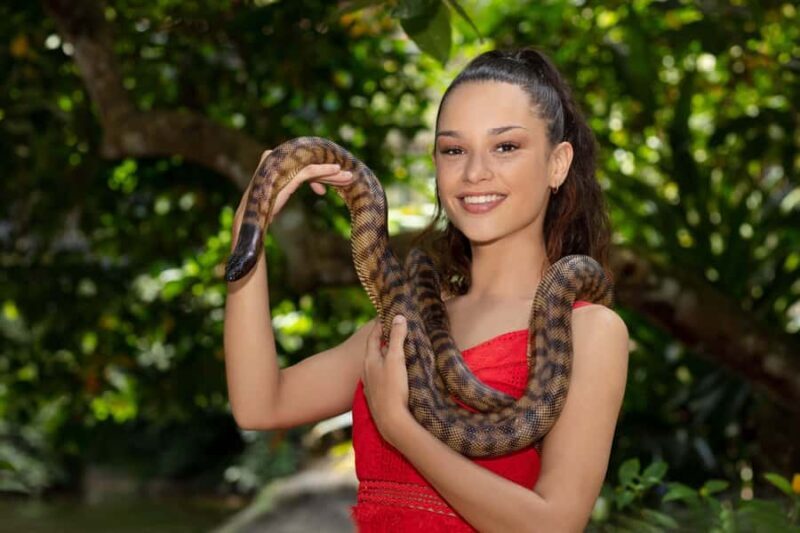 Kuranda Koala Gardens Park Entry - Final Thoughts