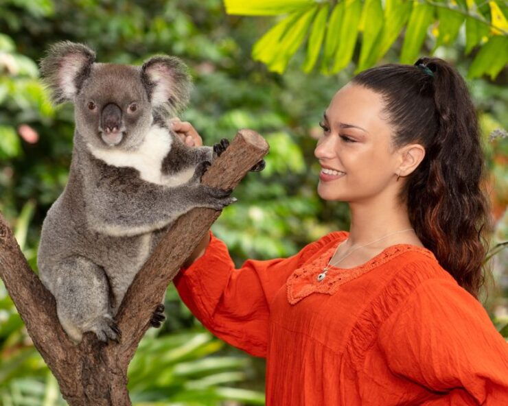 Kuranda: Koalas, Birds and Butterflies Experience - Activity Details