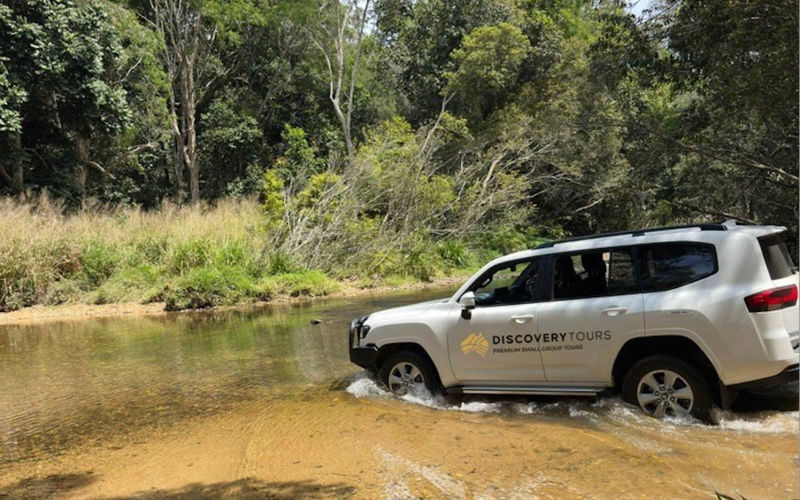 Kuranda Range and Barron Gorge National Park Half-Day 4WD Tour - A rainforest outing, not a detailed sightseeing itinerary