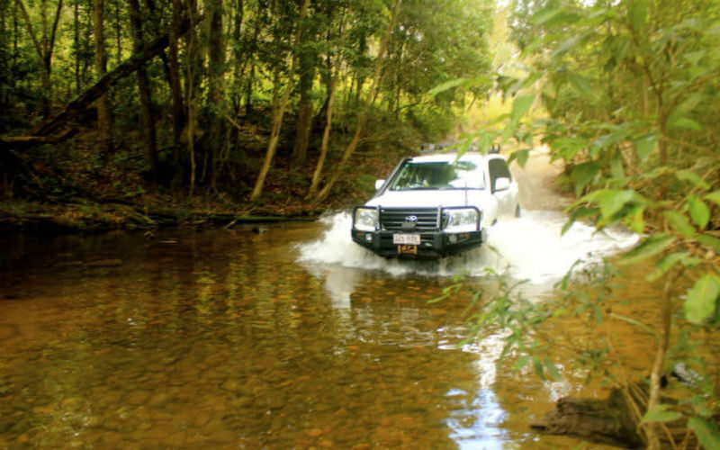 Kuranda Range and Barron Gorge National Park Half-Day 4WD Tour - Is $141.55 good value?