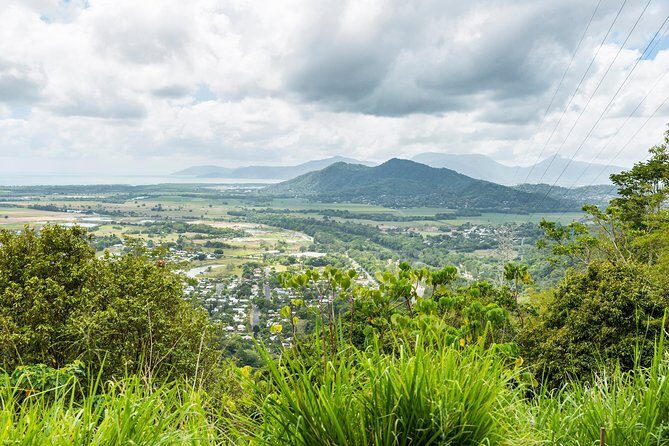 Kuranda Scenic Railway Day Trip from Cairns - The Experience in Depth: A Complete Breakdown