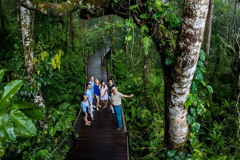 Kuranda, Skyrail and Scenic Rail Guided Day Tour with Transfers - Two classic routes through the rainforest