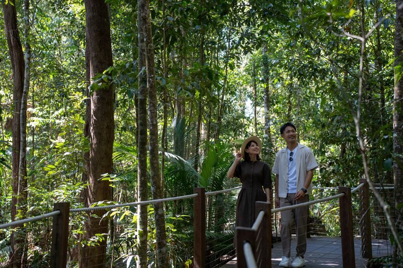 Kuranda, Skyrail and Scenic Rail Guided Day Tour with Transfers - Making your own Kuranda village visit