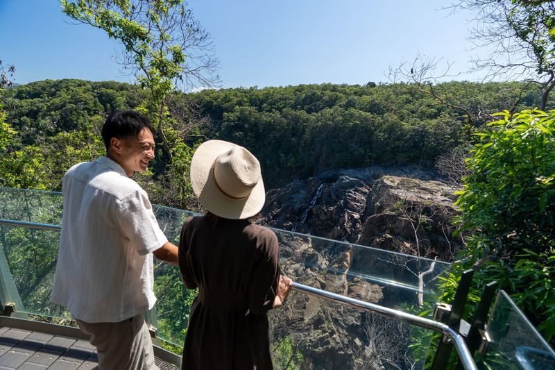 Kuranda, Skyrail and Scenic Rail Guided Day Tour with Transfers - Taking Skyrail back above the canopy