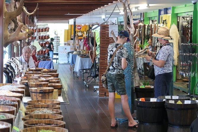 Kuranda Tour via Bus and Kuranda Scenic Rail - Small Group Tour - Tour Highlights and Positive Reviews
