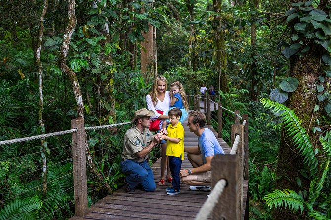 Kuranda Tour via Skyrail & Kuranda Scenic Rail - Small Group Tour - Tour Overview