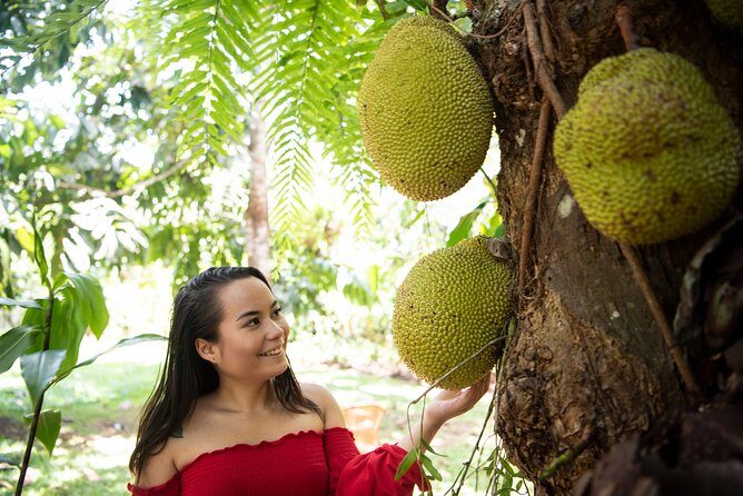 Kuranda Village, Army Duck Tour with Train and Skyrail (KDB) - FAQs