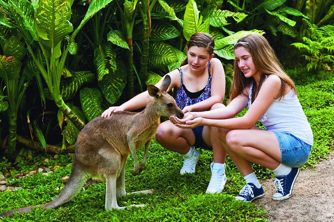 Kuranda Wildlife Experience Deluxe Multi Attraction Pass - Traveler Photos and Reviews