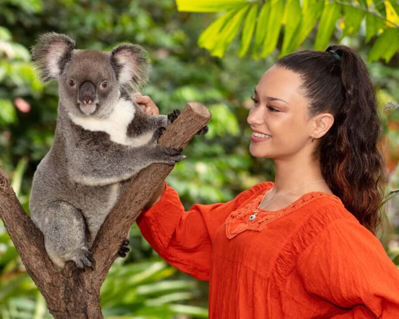Kuranda Wildlife Experience: Koalas, Birds & Butterflies - Who Will Love This Tour?