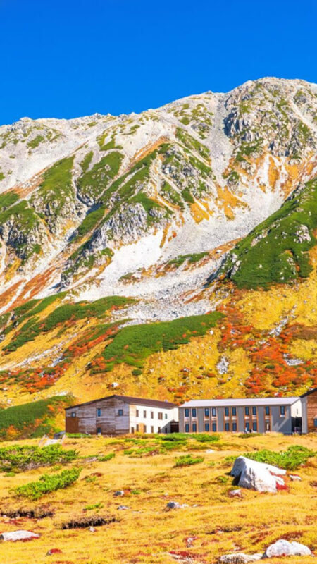 Kurobe Tateyama & Kamikochi Autumn Scenery Two-Day Tour: Tateyama Kurobe Alpine Route & Kamikochi Hiking (Departing from Nagoya) - Evening in Hakuba: dinner and a night indoors