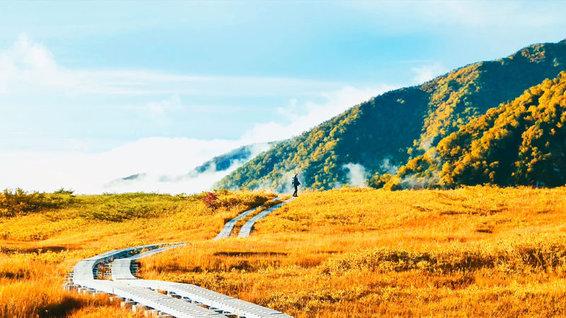 Kurobe Tateyama & Kamikochi Autumn Scenery Two-Day Tour: Tateyama Kurobe Alpine Route & Kamikochi Hiking (Departing from Nagoya) - The return to Nagoya, and the limits of a group schedule