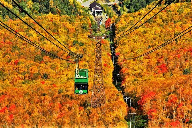 Kurodake Ropeway, Asahiyama Zoo Autumn Leaves Bus Tour - Good To Know