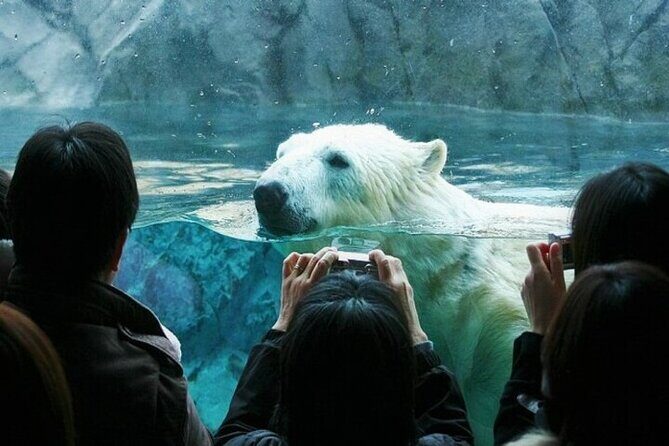 Kurodake Ropeway, Asahiyama Zoo Autumn Leaves Bus Tour - A Closer Look at the Itinerary & What to Expect