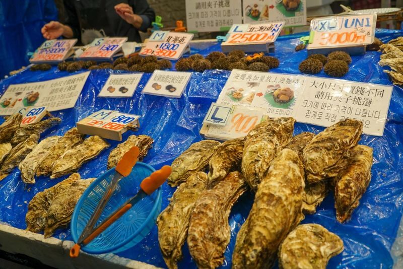 Kuromon Market Half Day Food Walking Tour in Osaka - Doguyasuji Street and practical souvenirs