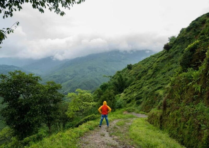 Kurseong: White Orchid Trail Hike with Hotel Pickup - An In-Depth Look at the White Orchid Trail Hike