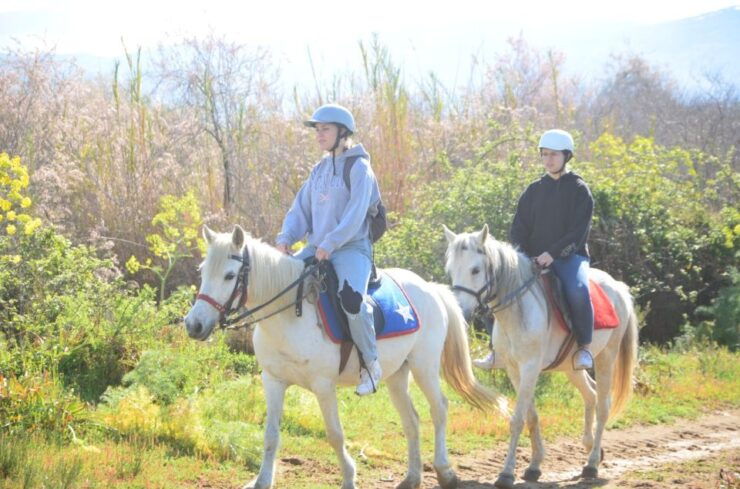 Kusadasi: Beach and Forest Horse Riding Tour - Activity Details