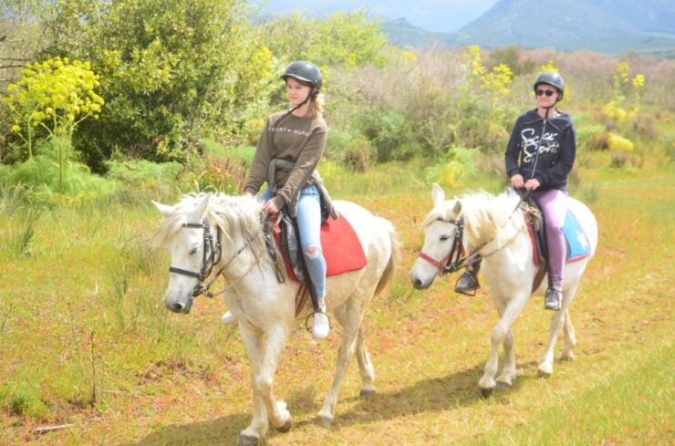 Kusadasi: Beach and Forest Horse Riding Tour - Experience Highlights