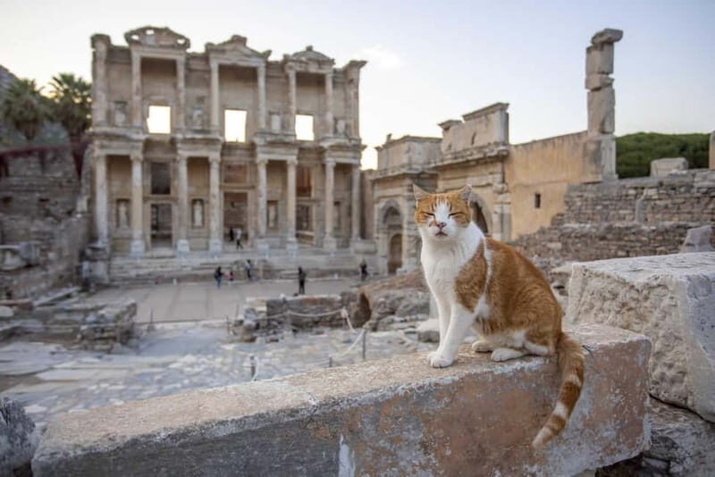 Kusadasi: Ephesus, Virgin Mary House & Artemis Temple Tour - The Experience: What Travelers Say