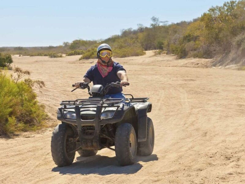 Kusadasi: Guided Quad Biking Tour - Discovering the Quad Biking Experience in Kusadasi