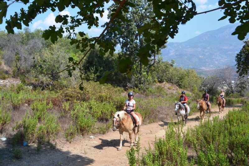 Kusadasi: Horse Riding Beach and Forest w/Transfer - Why This Tour Offers Great Value
