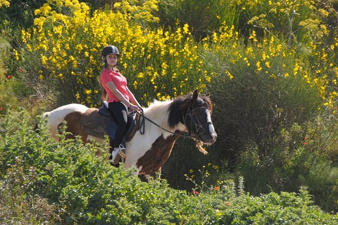 Kusadasi Horse Riding On Beach And Through The River - Traveler Reviews for the Horse Riding Tour
