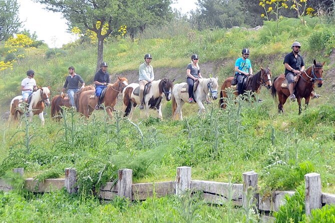 Kusadasi Horse Riding On Beach And Through The River - Additional Information and Contact Details