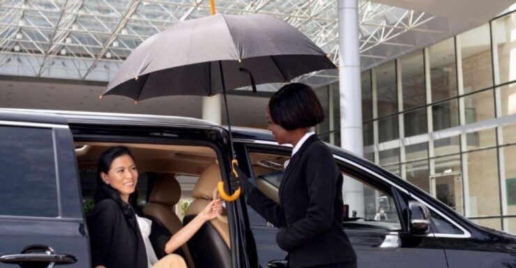 Kuşadası, İzmir, Bodrum: Private Airport Transfer - Booking and Payment Details