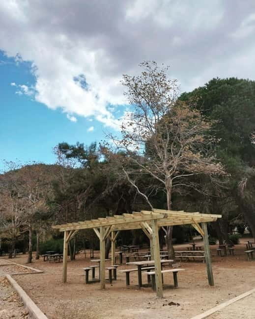 Kusadasi National Park Shinrin Yoku Tour - Good To Know