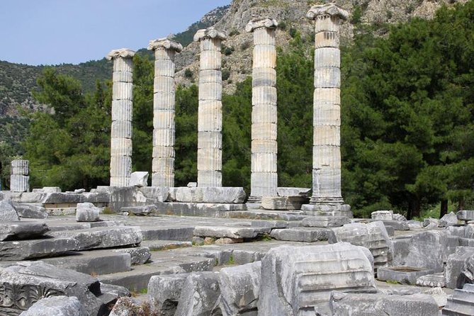 Kusadasi Port to Ephesus, House of Virgin Mary, Temple of Artemis - Tour Pricing and Guarantee