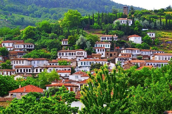 Kusadasi Port to Ephesus, Terrace Houses, Temple of Artemis - Exploring Ephesus