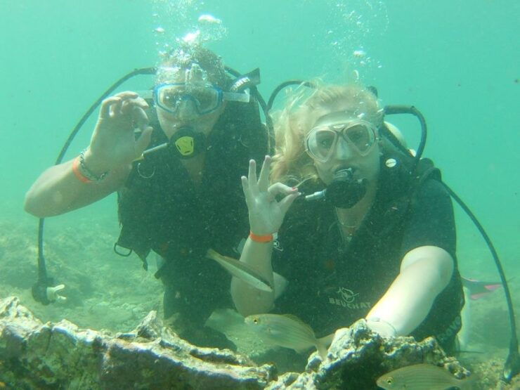 Kusadasi Scuba Diving - Experience Highlights
