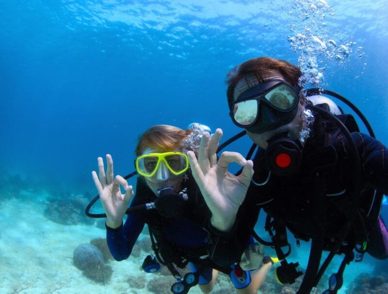 Kusadasi: Scuba Diving for Beginners w/Lunch & Transfer - What Makes This Tour Stand Out?