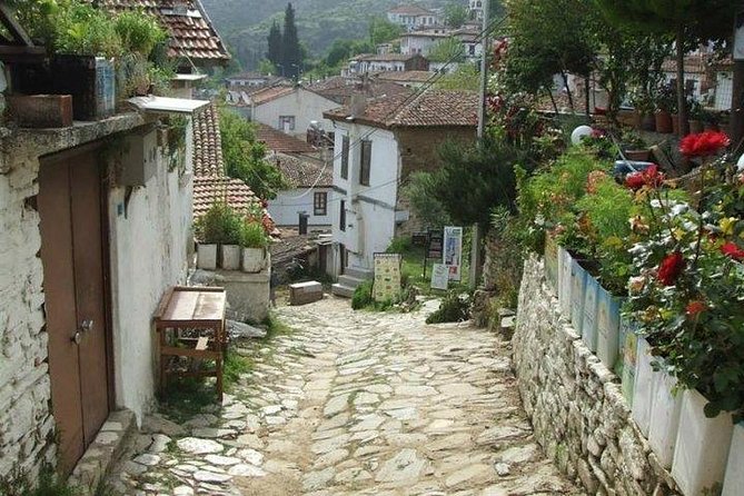 Kusadasi Shore Excursion: Private Full-Day Tour to Ephesus, Didyma and Miletus - Practical Information