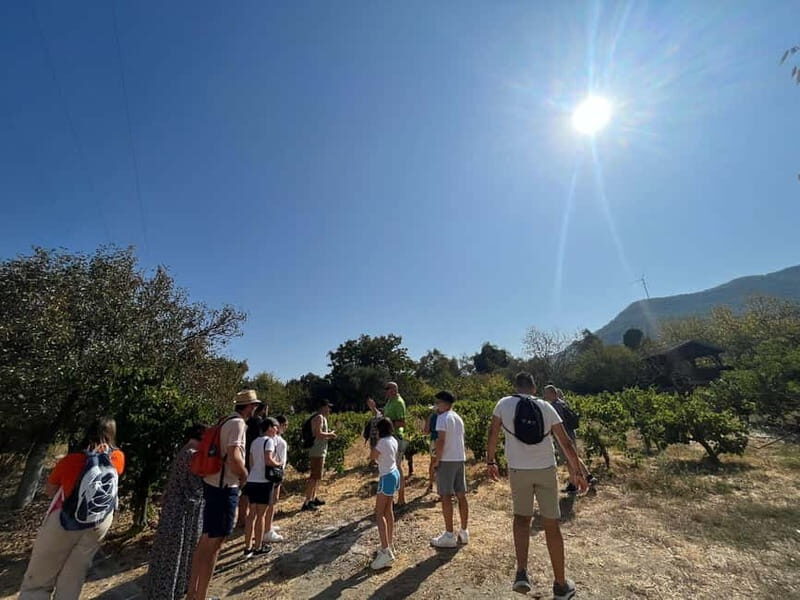 Kusadasi Village Tour & Traditional Food Tasting - What’s Included & What’s Not