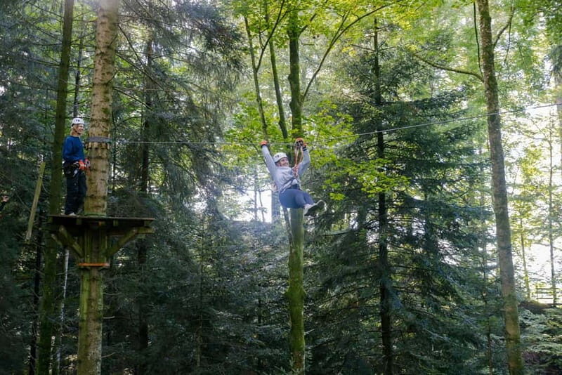 Küssnacht: Ropes Park Rigi Climbing Adventure with Entry Ticket - An Overview of the Rigi Rope Park Experience