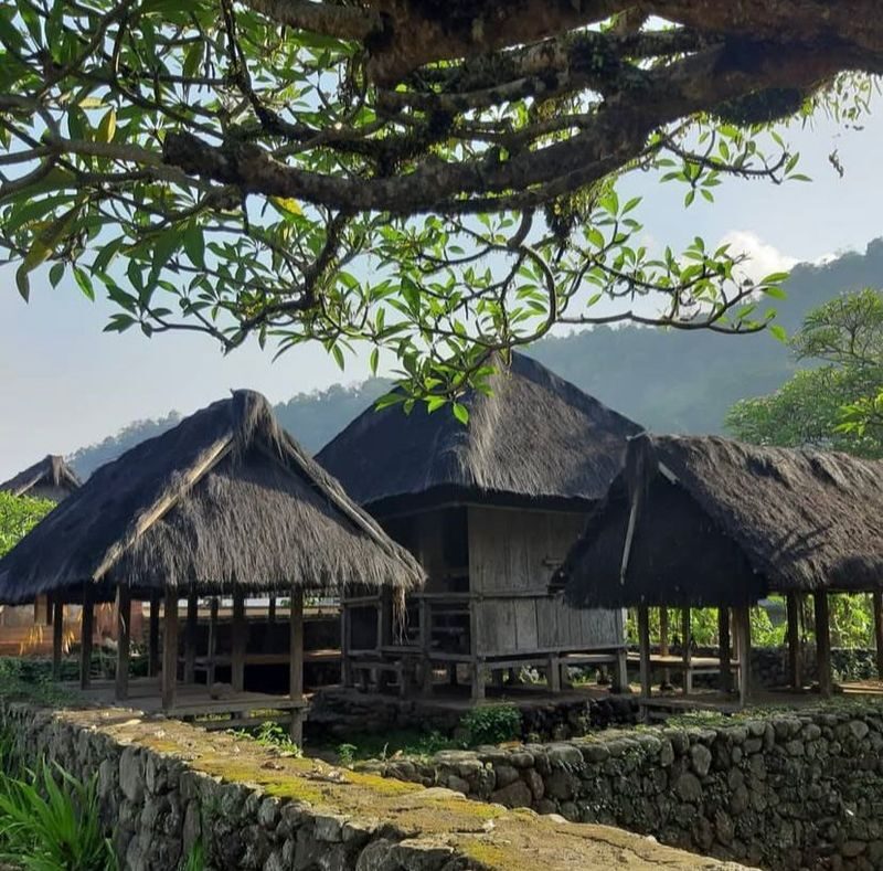 Kuta Blue Lagoon Snorkeling & Tenganan Village Private Tour - Lunch, timing, and the return ride