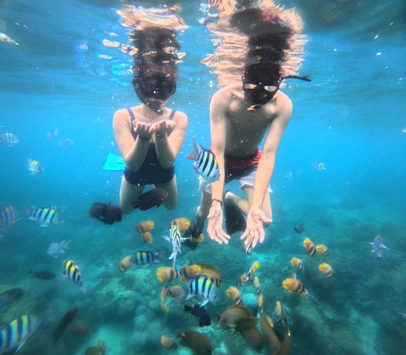 Kuta Blue Lagoon Snorkeling & Tenganan Village Private Tour - What the private format means for value