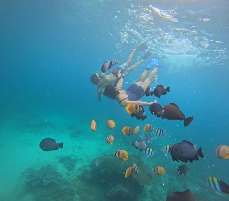 Kuta Blue Lagoon Snorkeling & Tenganan Village Private Tour - Who should book this day tour