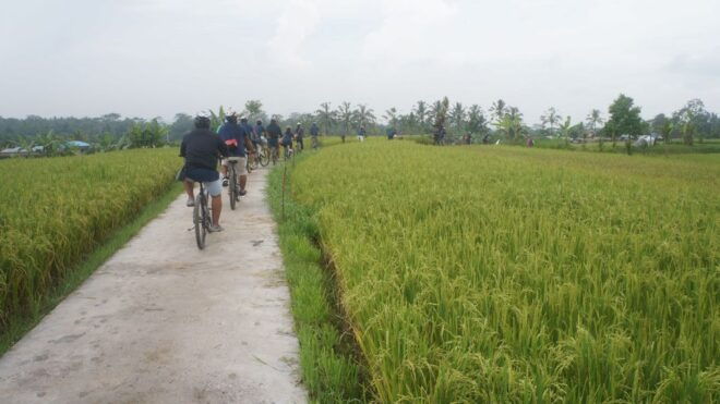Kuta: Kintamani Culture and Nature Guided Cycling Tour - Tour Itinerary