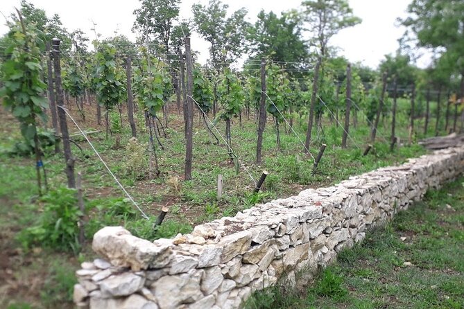Kutaisi, Prometheus Cave and Wine Tour - Inclusions and Exclusions